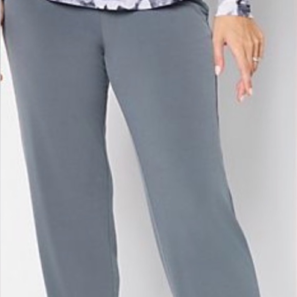 Susan Graver Pewter Modern Essentials Pants. Never worn